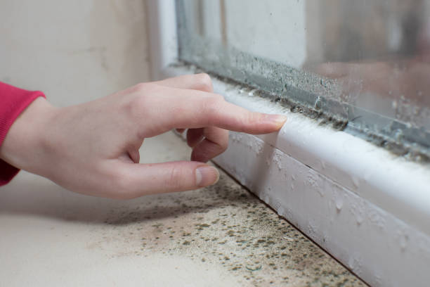 Best Airborne Mold Testing  in Parker, SC